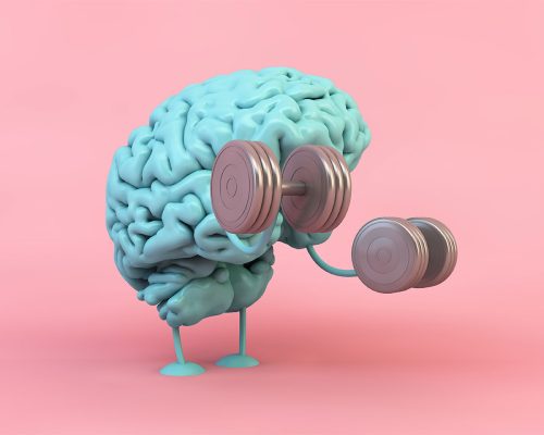 Fissac_brain-exercise