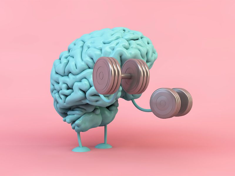 Fissac_brain-exercise