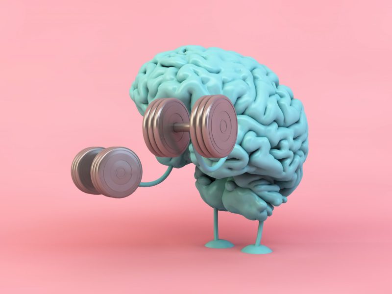 Fissac_cerebro ejercicio