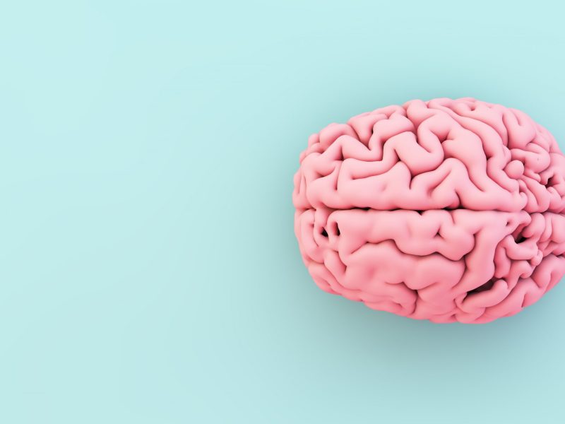 minimal pink brain on blue background 3d rendering