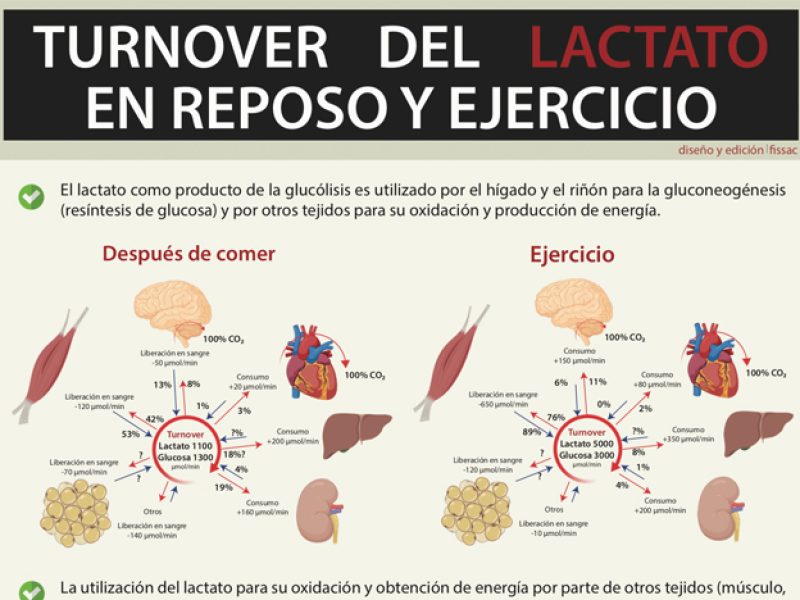 fissac_turnover lactato